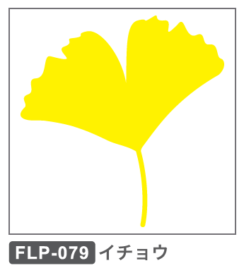 FLP-079 イチョウ